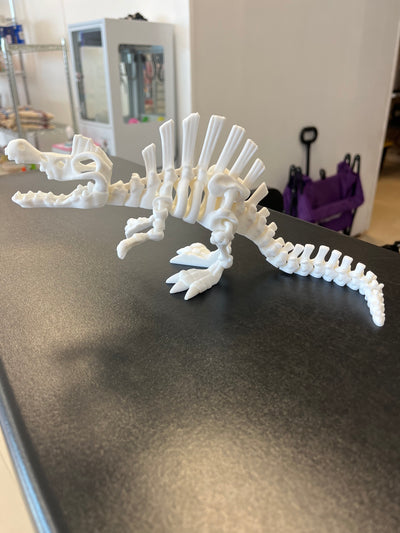 3D Printed White Spinosaurus